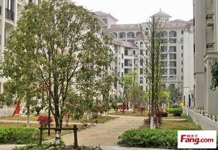 美丽城,和谐宜居的现代都市典范